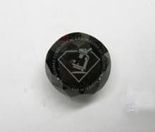 pic1